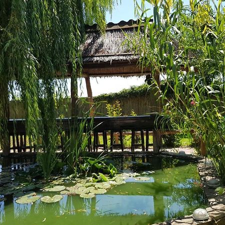 Pensiunea Iubire de Delta  La Traian Murighiol Exterior foto