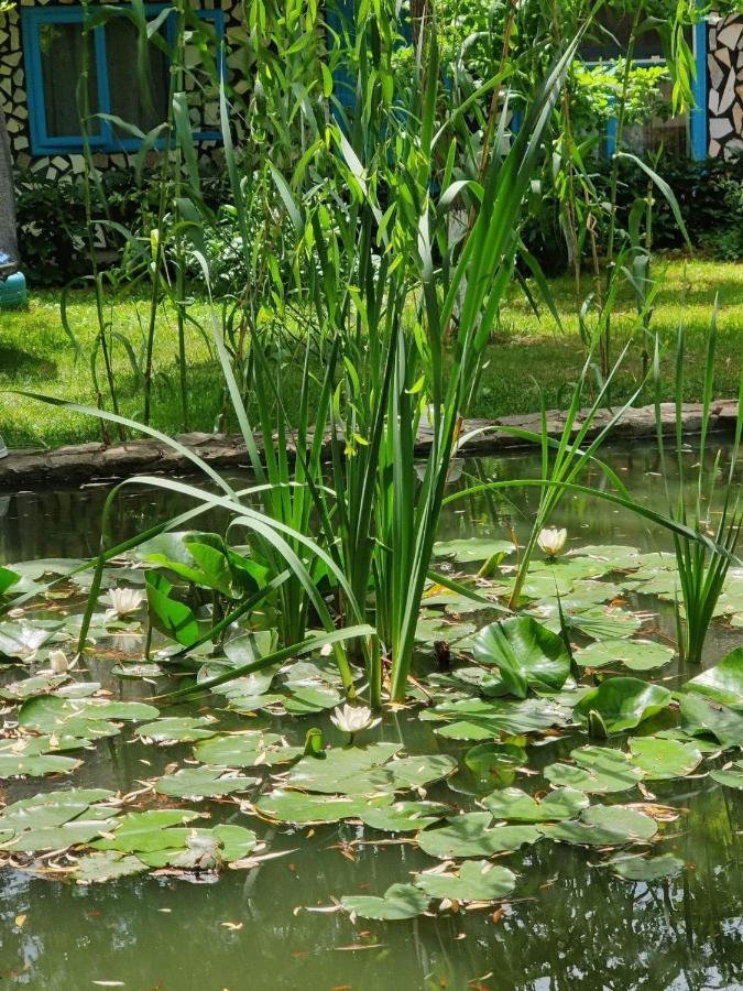 Pensiunea Iubire de Delta  La Traian Murighiol Exterior foto
